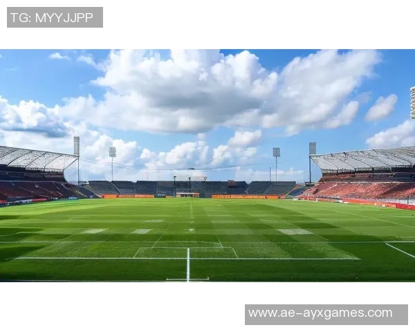 阳光下的梦想绿茵场太阳园足球壁纸带你领略激情与活力